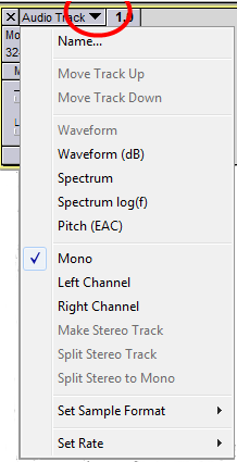 Contents of the Track Drop-Down Menu